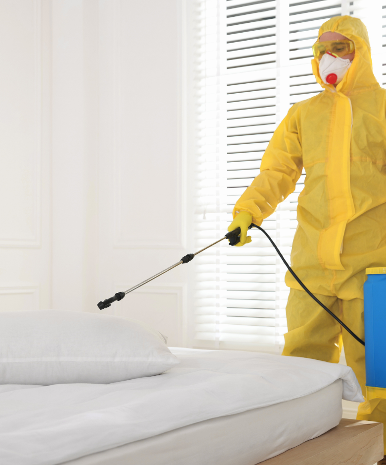 Professional Pest Control Team in New Port